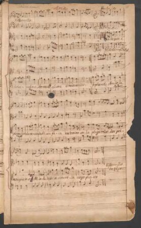 Procris und Cephalus. Auszüge. Arr; S, orch