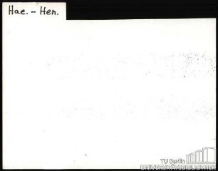DAHLIE: Sorten HAE-HEN