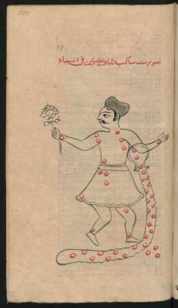 Illustration: Sternbild des Mannes, der Wasser ausschüttet