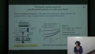 Suspensions of non-Brownian Particles in Complex Fluids