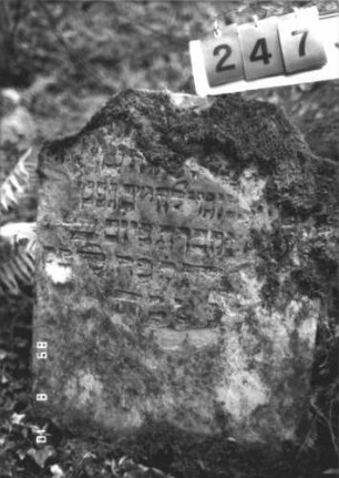 Grabstein 247 (Index: 99799931) Material: Sandstein Zustand: stark verwittert, abgebrochen Maße HxBxT: 96x94x8 cm Beschreibung: Stele, in der Mitte abgebrochen: Grabstein 247