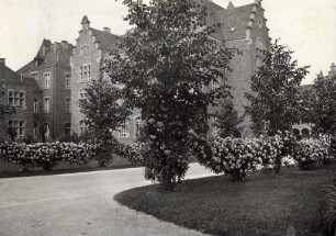 Städtisches Klinikum. Hauptweg mit Rosenstauden "Helene"