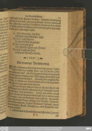 (XXXV.) Die traurige Verwirrung.