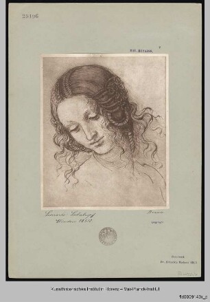 Leda, Kopfstudie
