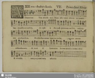 VII. Adiuro vos filiae Jerusalem