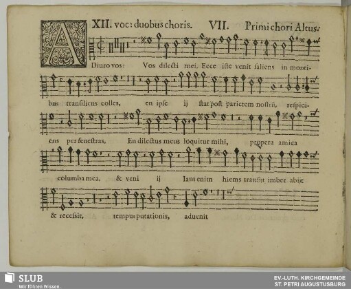 VII. Adiuro vos filiae Jerusalem