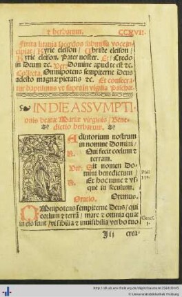 Benedictio herbarum in assumptio Mariae virginis