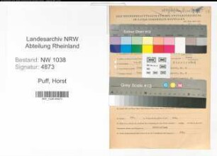 Entnazifizierung Horst Puff , geb. 06.01.1921 (Angestellter)