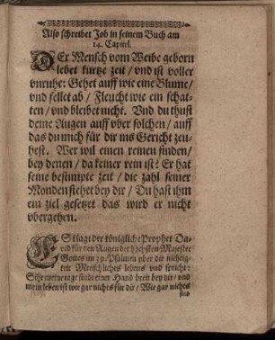 Also schreibet Job in seinem Buch am 14. Capitel.
