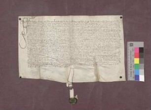 Anderer von Eer, Schuhmacher und Bürger zu Basel, verkauft dem Domstift Basel den Stockkeller zu Liestal.