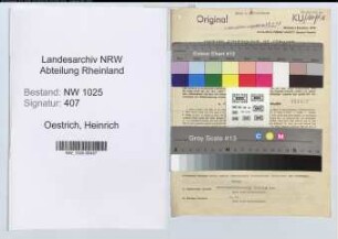 Entnazifizierung Heinrich Oestrich , geb. 19.09.1894 (Landwirt)