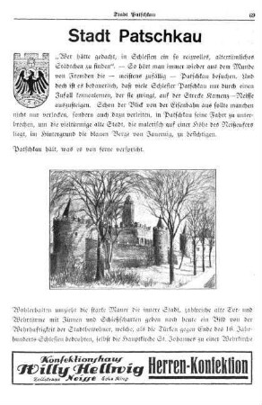 Stadt Patschkau