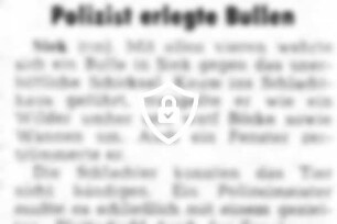 Schlachter waren machtlos - Polizist erlegte Bullen