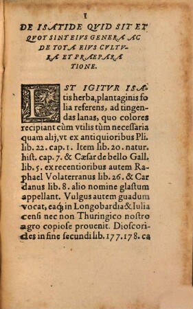 Isatis herba