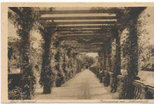 Fürstenweg (Rosengang) im Kurpark