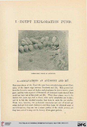 Egypt Exploration Fund : excavations at Abâdiyeh and Hû