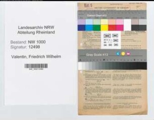 Entnazifizierung Friedrich Wilhelm Valentin, geb. 01.04.1907 (Vers.Direktor)