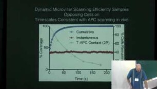 Immune Search and Immune Information-Transfer