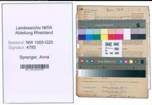 Entnazifizierung Anna Sprenger , geb. 20.02.1901 (Kauffrau)