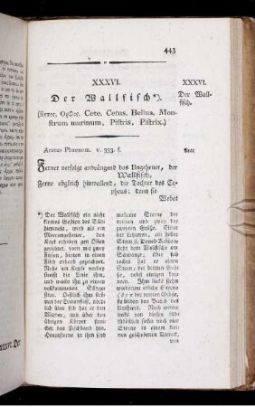 XXXVI. Der Wallfisch.