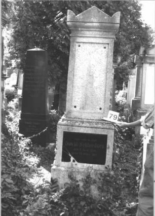 Grabstein 79 (Index: 100114205) Material: Kalkstein mit schwarzer Marmorplatte im Sockel Zustand: Schriftplatte der Stele fehlt, andere Platte gebrochen Maße HxBxT: 210x64x38 cm Beschreibung: Stele, getreppter Sockel, Giebel mit Eckakroteren, eingetieftes Schriftfeld rechteckig: Grabstein 79