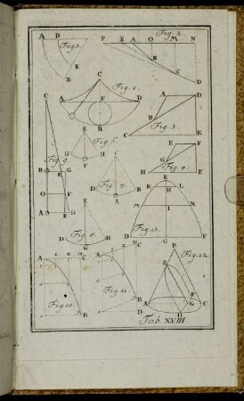 Tab. XVIII.
