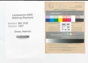 Entnazifizierung Heinrich Gross , geb. 22.07.1912 (Steiger)
