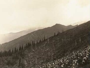 Rumänien. Făgăraș-Gebirge. Blick auf den wolkenverhangenen Surul