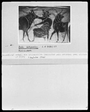 Halsamphora — Herakles Einzug in den Olymp auf einem Viergespann — Hockender Mann und Ziege