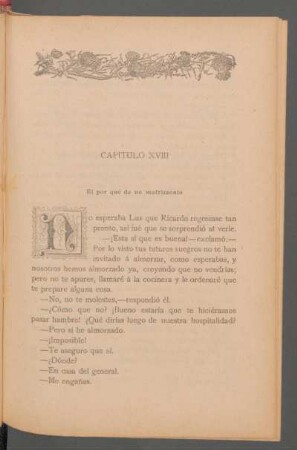 Capítulo XVIII - El por qué de un matrimonio