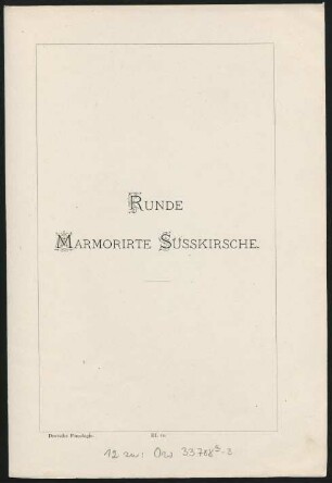III. 12. Runde Marmorirte Süsskirsche
