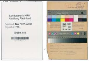 Entnazifizierung Ilse Grebe , geb. 27.07.1914 (Bueroangestellte)