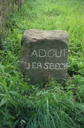 Fischbek: Grenzstein [Nr. 9] zwischen Gut Jersbek und Amt Tremsbüttel: Seite Jersbek