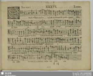 XXXVI. Quasi cedrus exaltata sum