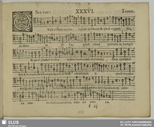 XXXVI. Quasi cedrus exaltata sum