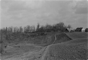 Schanze bei Niethen. Ringwall. : Něćinske hrodźišćo.