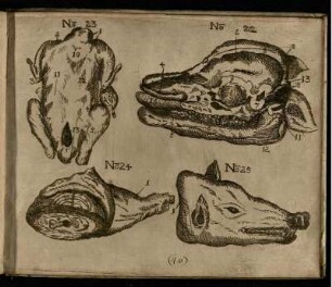 Ill. 25 zu "Der wilde Schweinskopff/ wie No. 25. weiset"