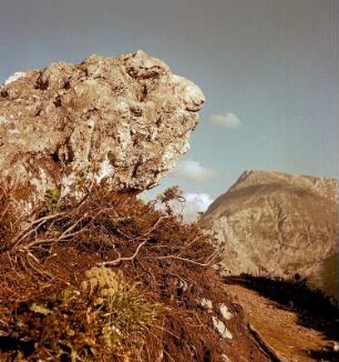 Kehlstein in den Berchtesgadener Alpen
