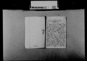 Schreiben von Ferdinand Hitzig, Heidelberg, an August Lamey: Bemerkungen zu Publikationen Hitzigs und alttestamentarischen Themen.
