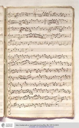 Violone
