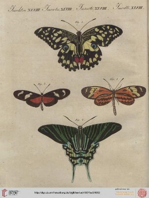 B.VI. No. 11 - B.VI. No. 20