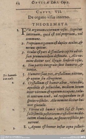 CAPUT VII. De organo visus interno.