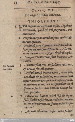 CAPUT VII. De organo visus interno.