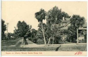 Santa Rosa. Scene on Cherry Street, Santa Rosa, Cal.