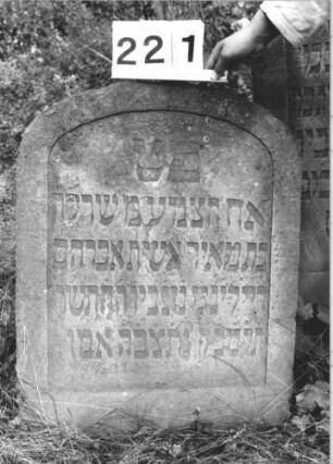 Grabstein 221