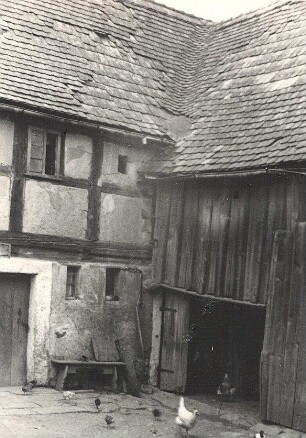 Bauernhof in Salzenforst : Burski statok w Słonej Boršći