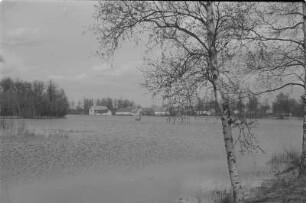 Teiche in Kauppa : Haty pola Kupoje