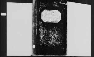 Greffern, katholische Gemeinde: Geburtenbuch 1810-1870