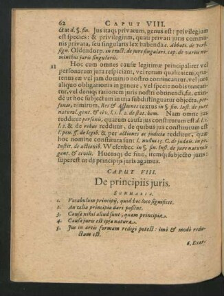 Caput VIII. De principiis iuris.