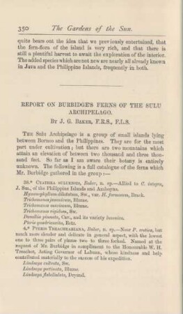 Report on Burbidge's ferns of the Sulu archipelago